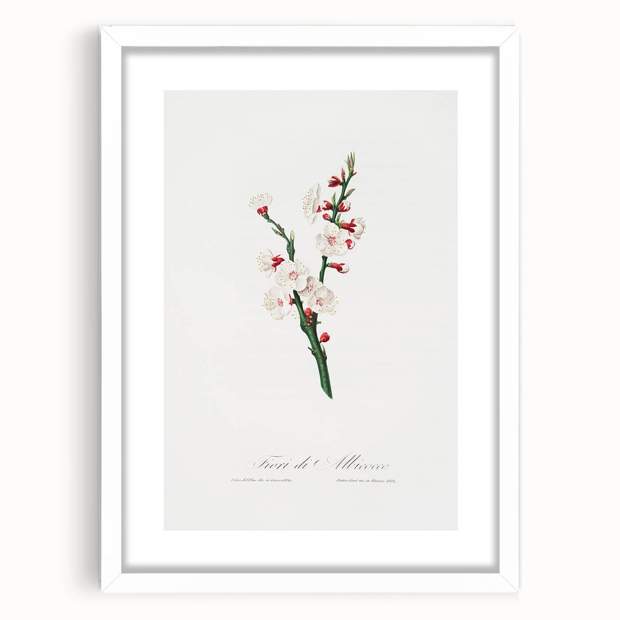 Romanticism Art: Apricot Blossom by Giorgio Gallesio