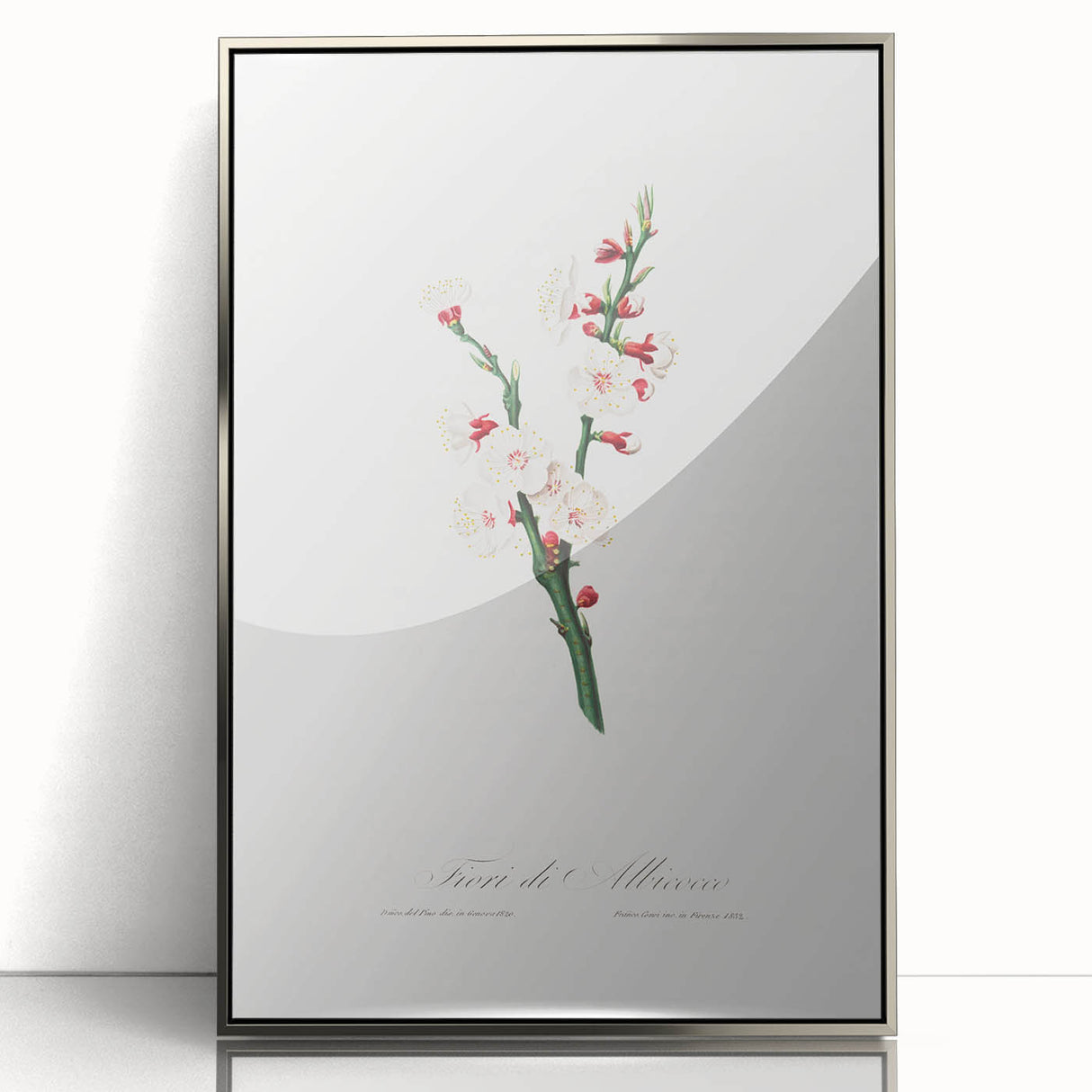 Romanticism Art: Apricot Blossom by Giorgio Gallesio