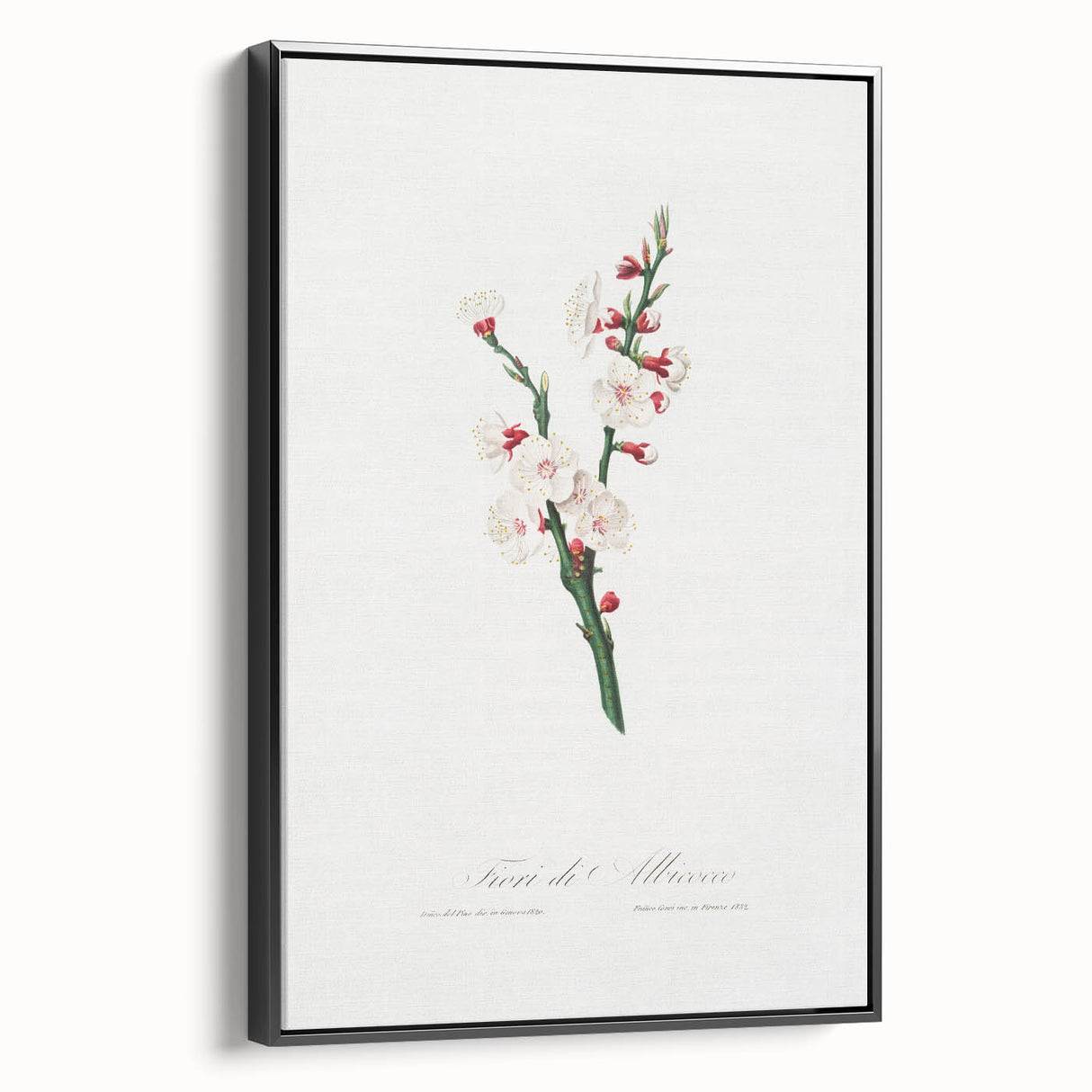 Romanticism Art: Apricot Blossom by Giorgio Gallesio