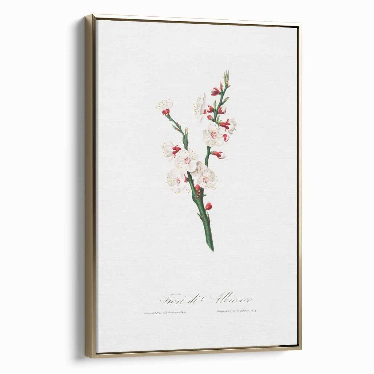 Romanticism Art: Apricot Blossom by Giorgio Gallesio