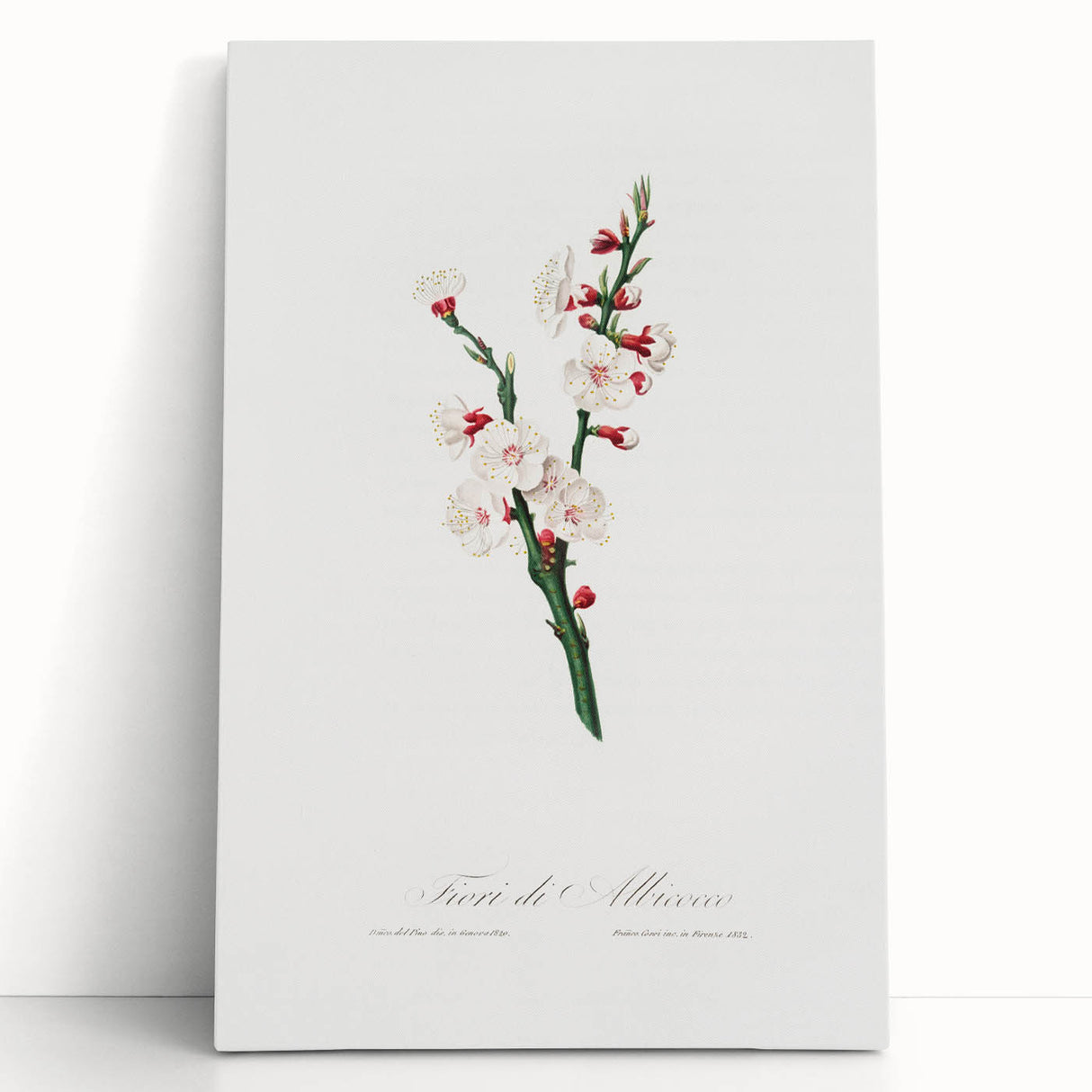 Romanticism Art: Apricot Blossom by Giorgio Gallesio