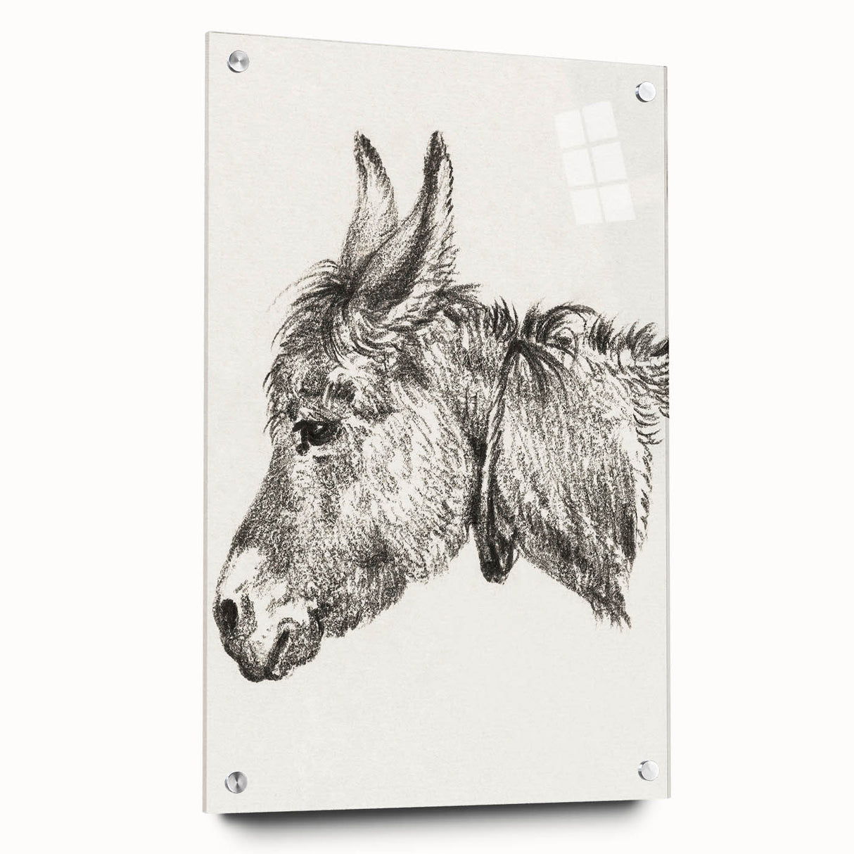 Romanticism Art: Head of a Donkey by Jean-Bernard