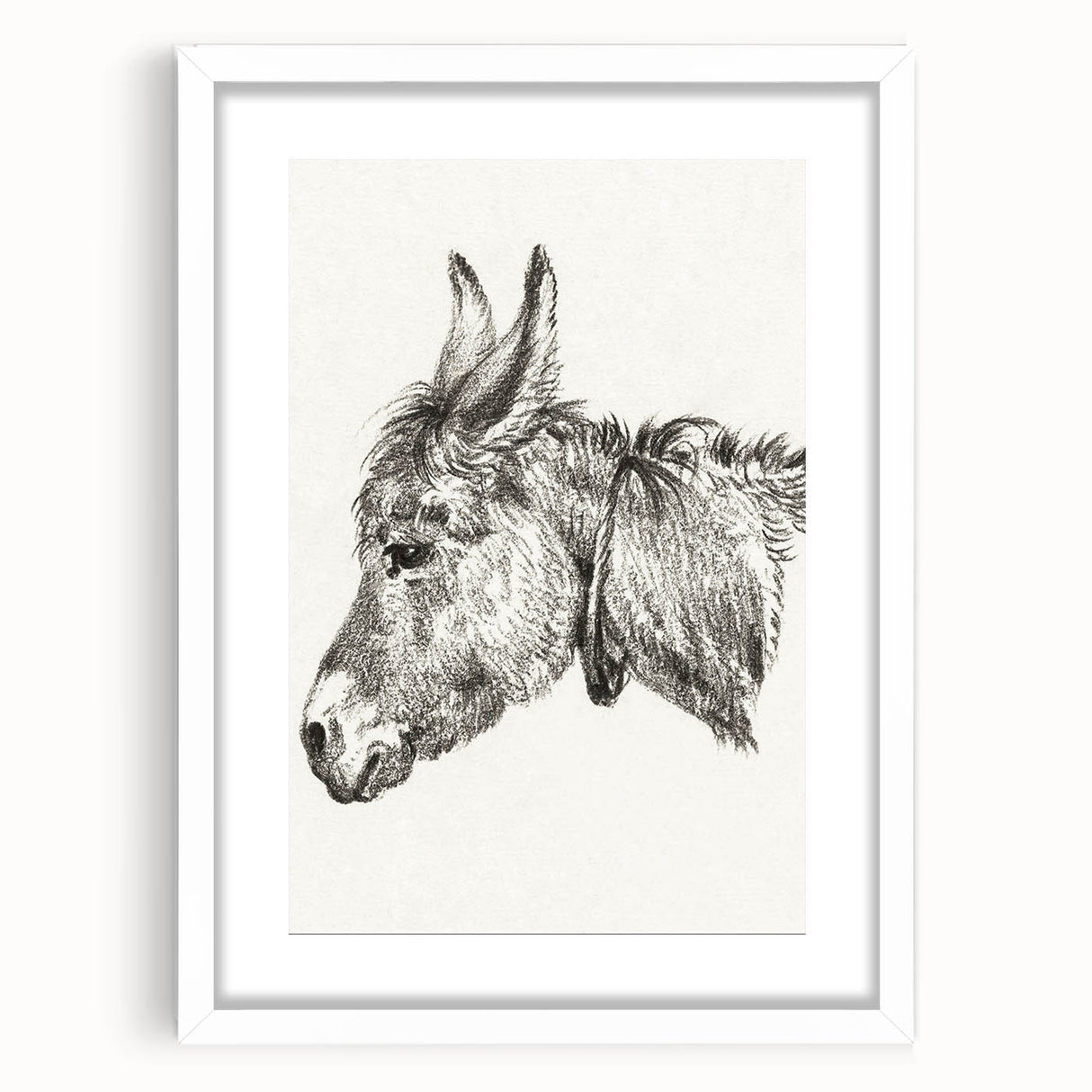 Romanticism Art: Head of a Donkey by Jean-Bernard