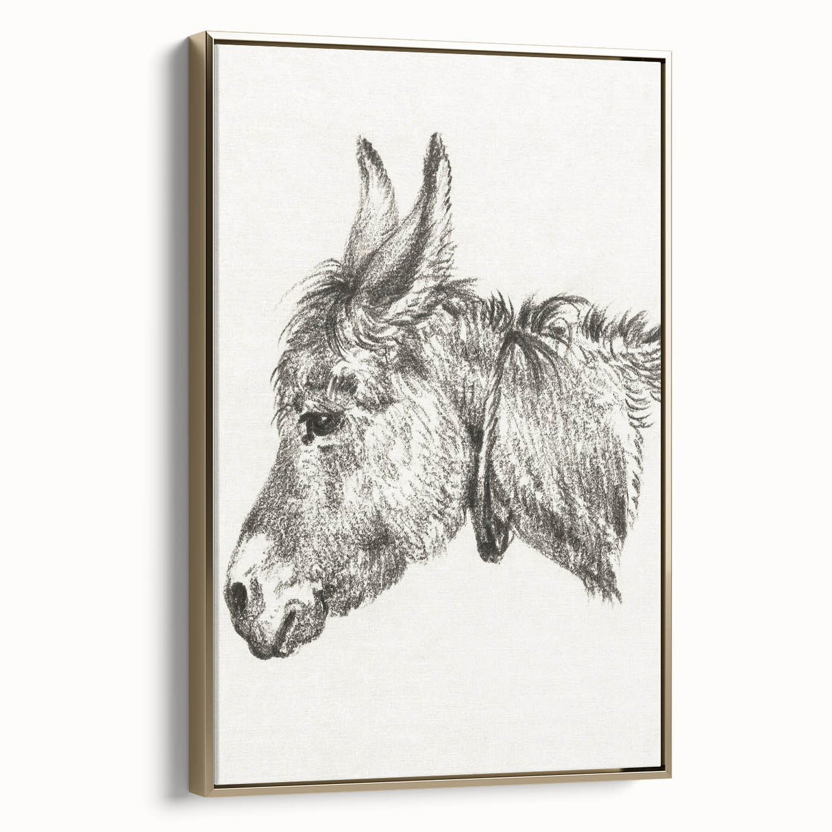 Romanticism Art: Head of a Donkey by Jean-Bernard