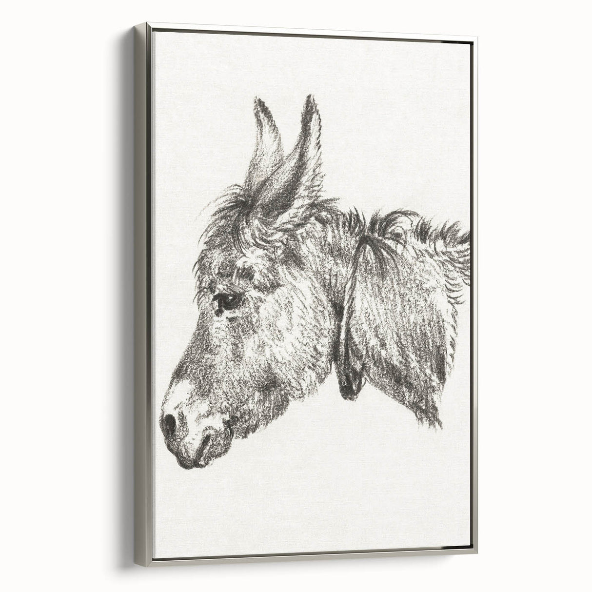 Romanticism Art: Head of a Donkey by Jean-Bernard