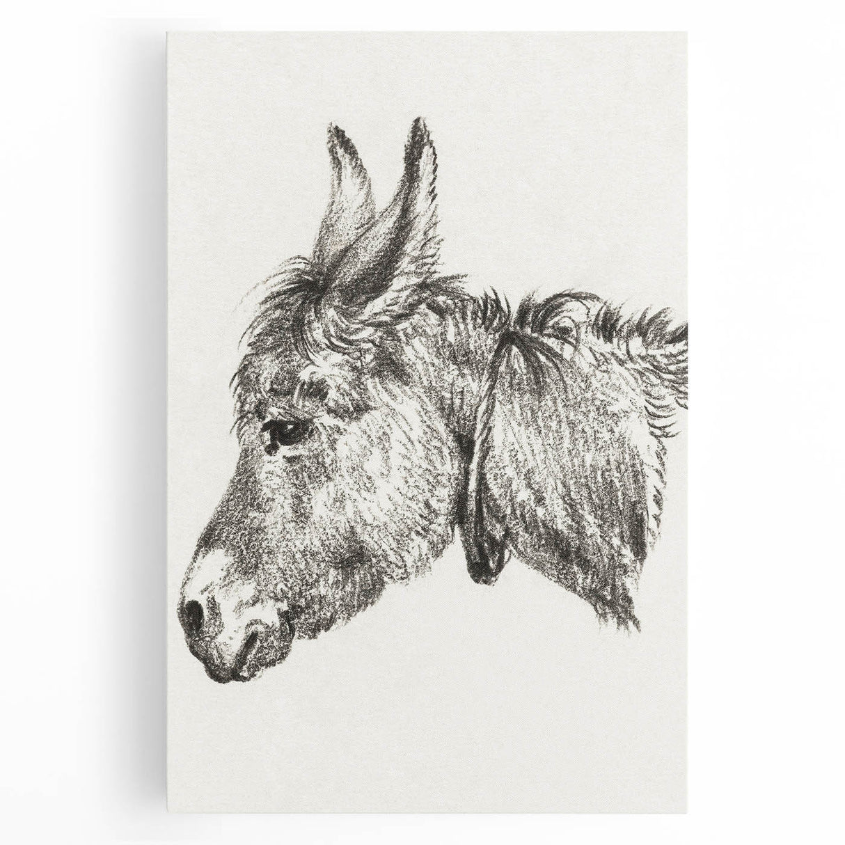 Romanticism Art: Head of a Donkey by Jean-Bernard