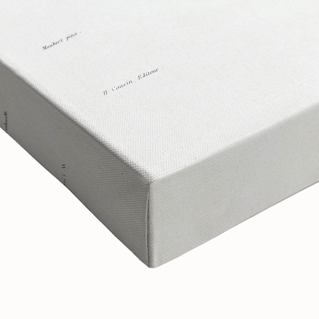 Classic Romantic Paintings: Parodia Sellowii Floral Wall Art