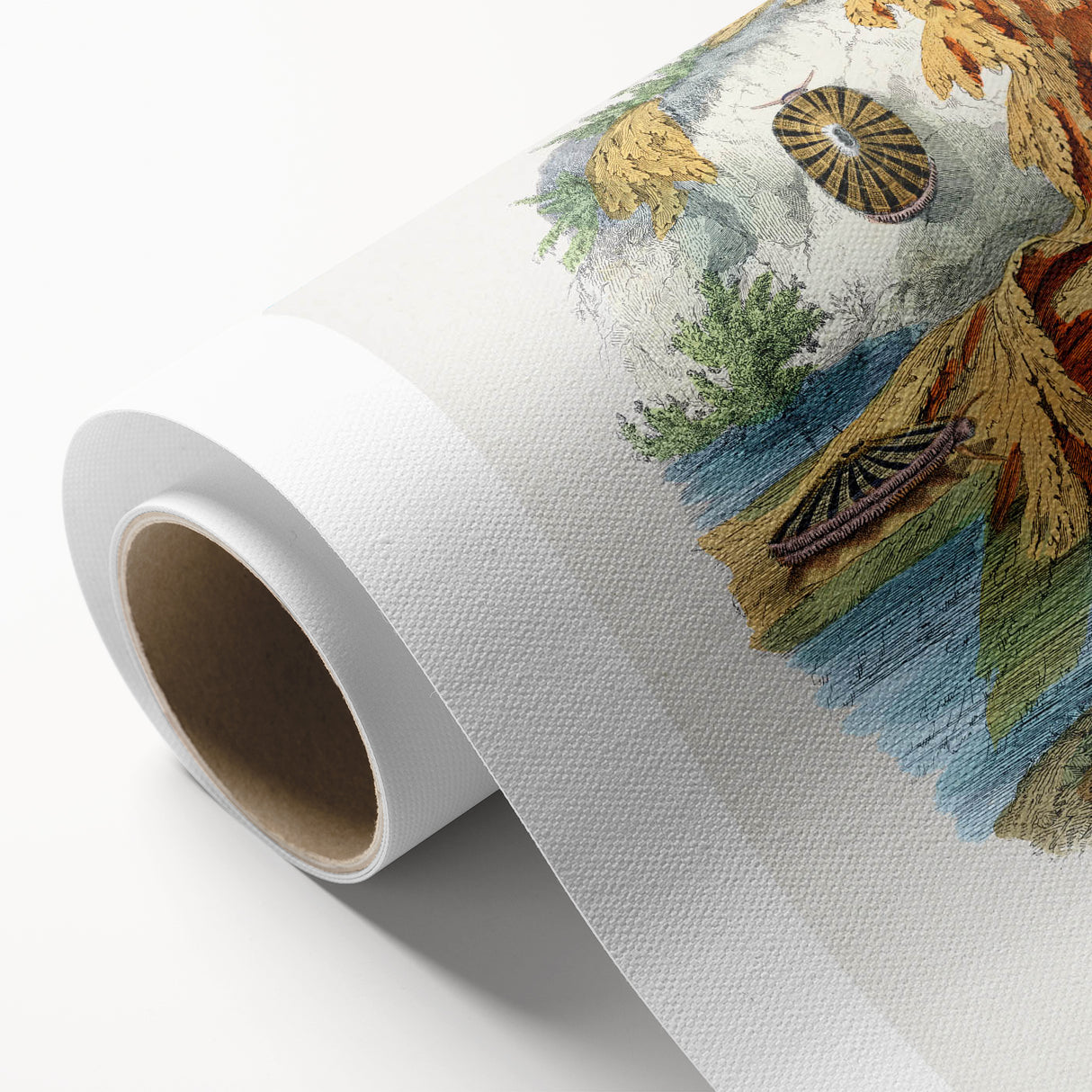 Romanticism Art: Volcano Limpet Snail Wall Art for Home Decor