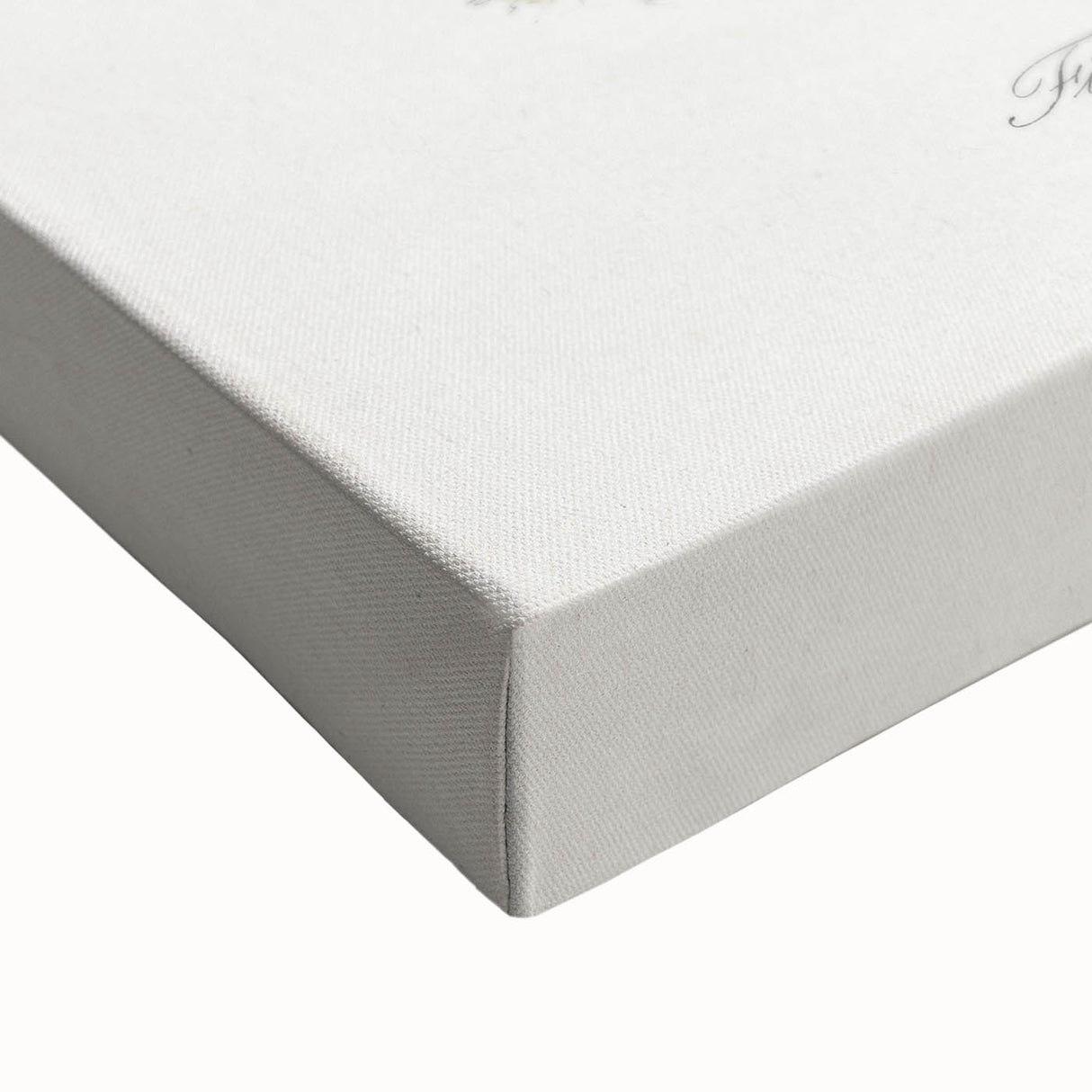 Romanticism Art: Volcano Limpet Snail Wall Art for Home Decor