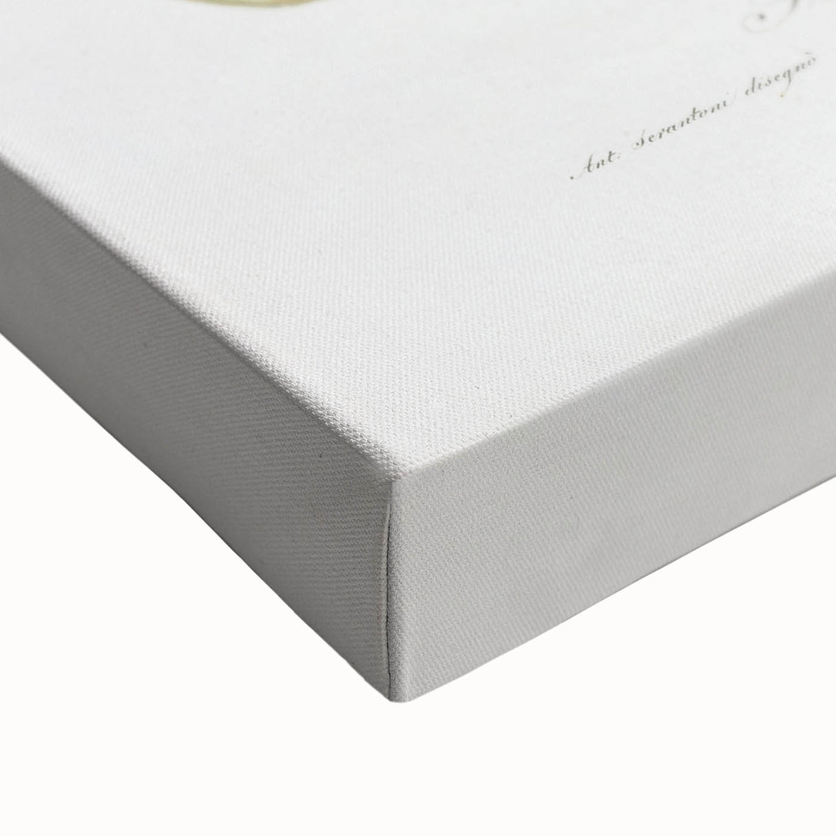 Romanticism Art: Ficus Carica Fig Botanical Wall Art