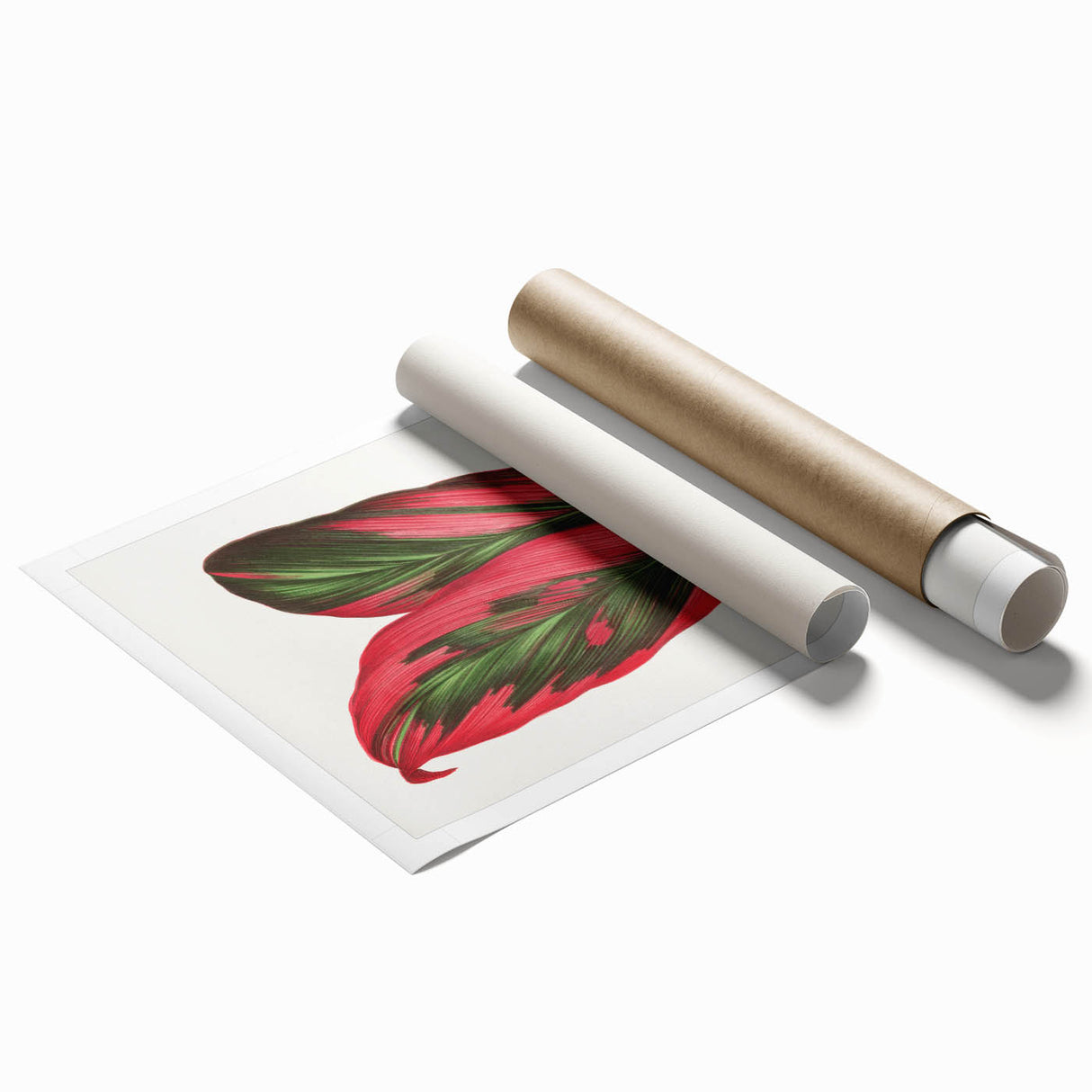 Romanticism Art: Dracaena Terminalis Pink Botanical Wall Art