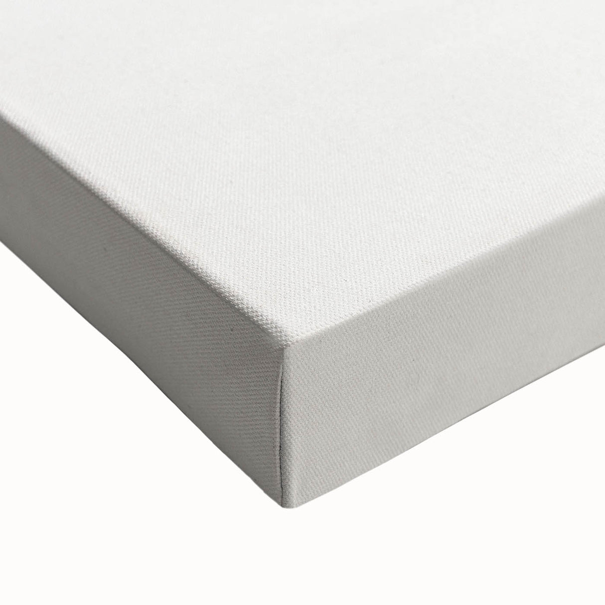 Romanticism Art: Dracaena Terminalis Pink Botanical Wall Art