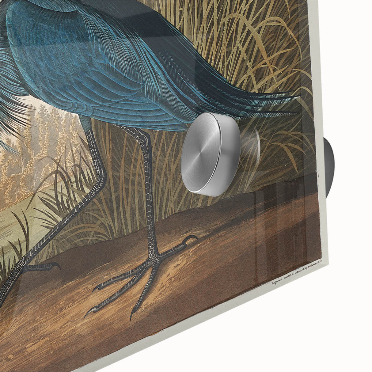 Blue Crane Heron Romanticism Art - Historical Romantic Canvas Print