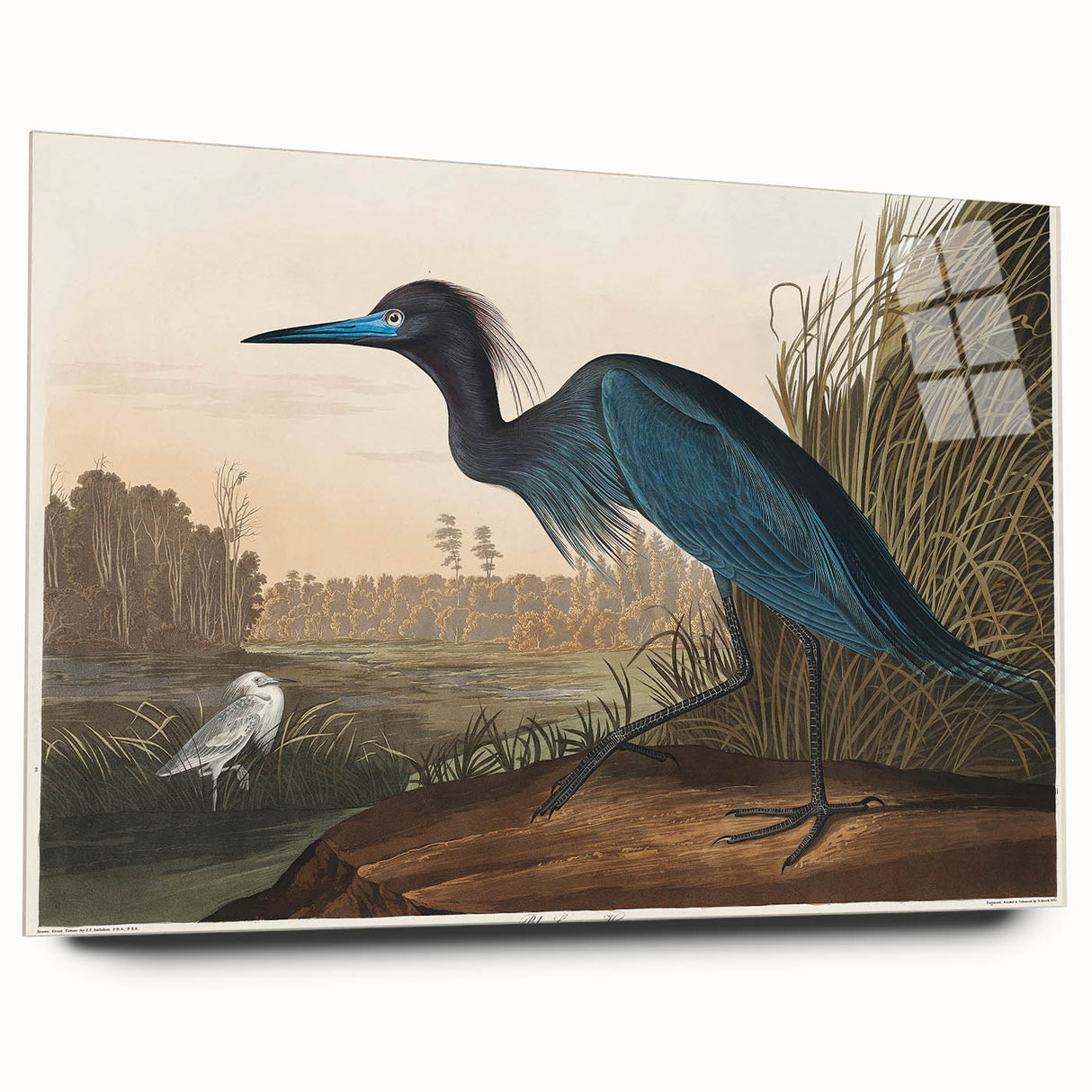 Blue Crane Heron Romanticism Art - Historical Romantic Canvas Print