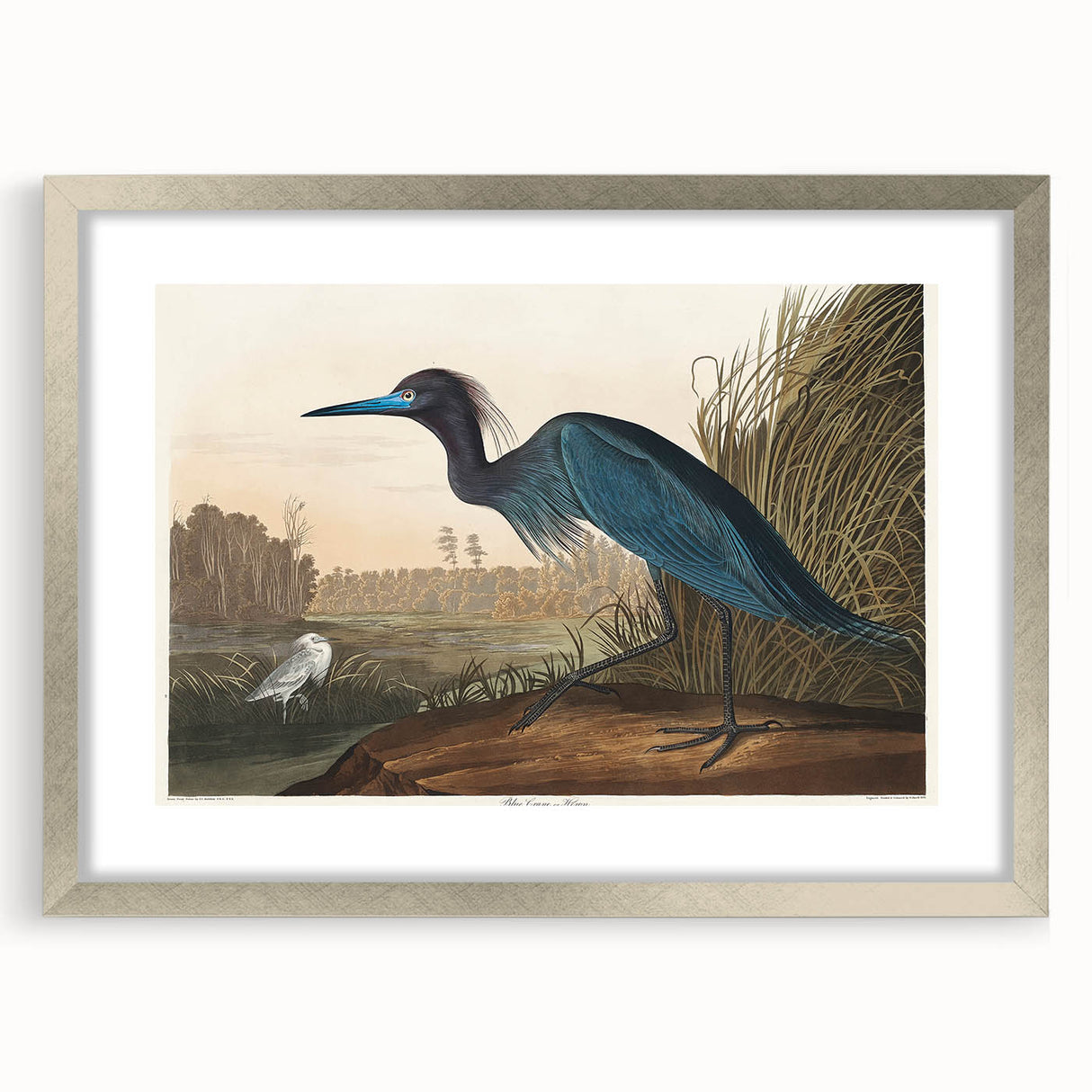 Blue Crane Heron Romanticism Art - Historical Romantic Canvas Print