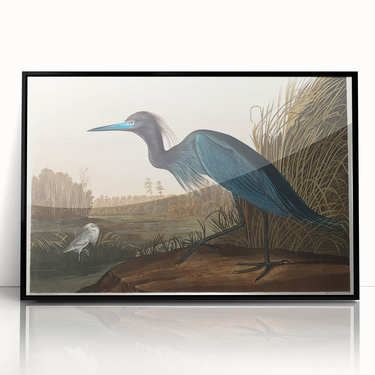Blue Crane Heron Romanticism Art - Historical Romantic Canvas Print