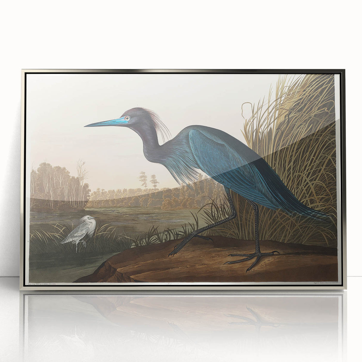 Blue Crane Heron Romanticism Art - Historical Romantic Canvas Print