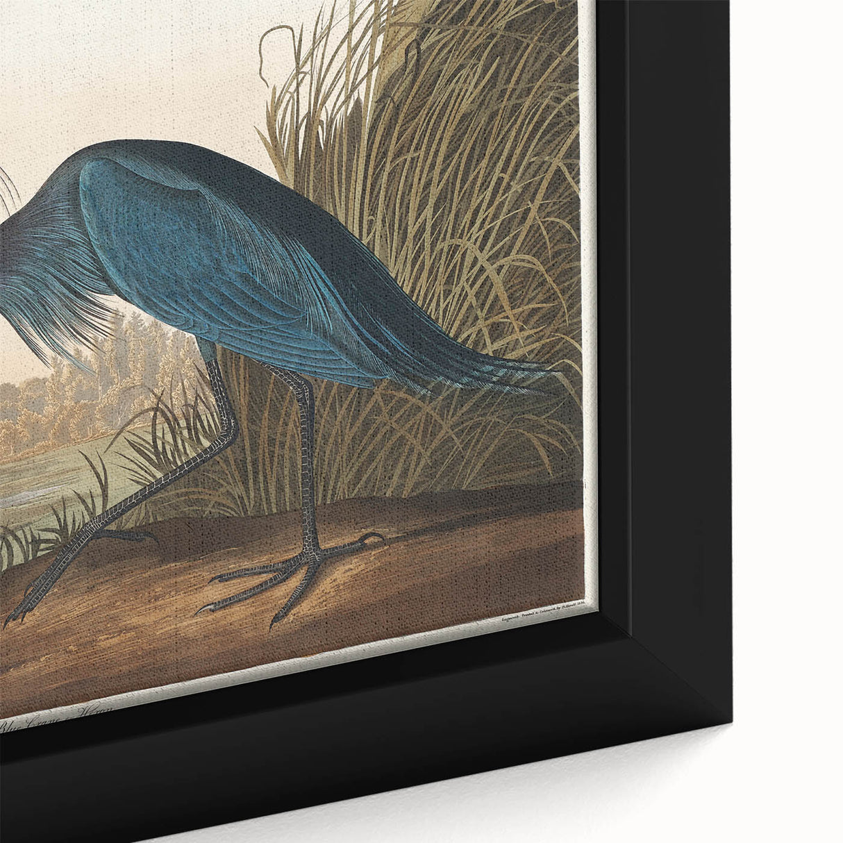 Blue Crane Heron Romanticism Art - Historical Romantic Canvas Print