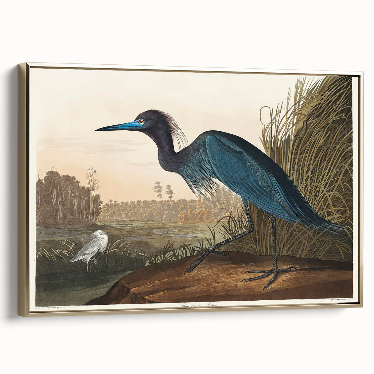 Blue Crane Heron Romanticism Art - Historical Romantic Canvas Print