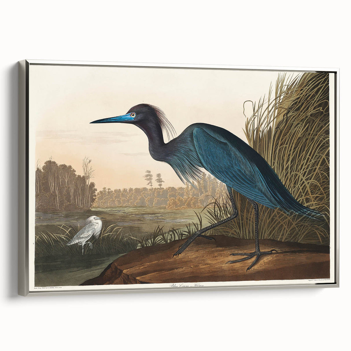 Blue Crane Heron Romanticism Art - Historical Romantic Canvas Print