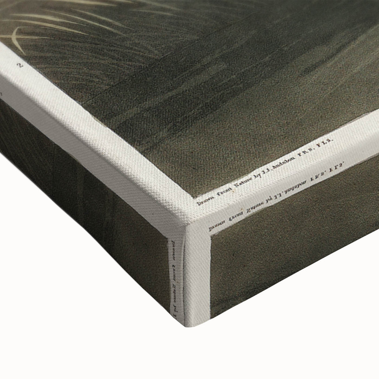 Blue Crane Heron Romanticism Art - Historical Romantic Canvas Print