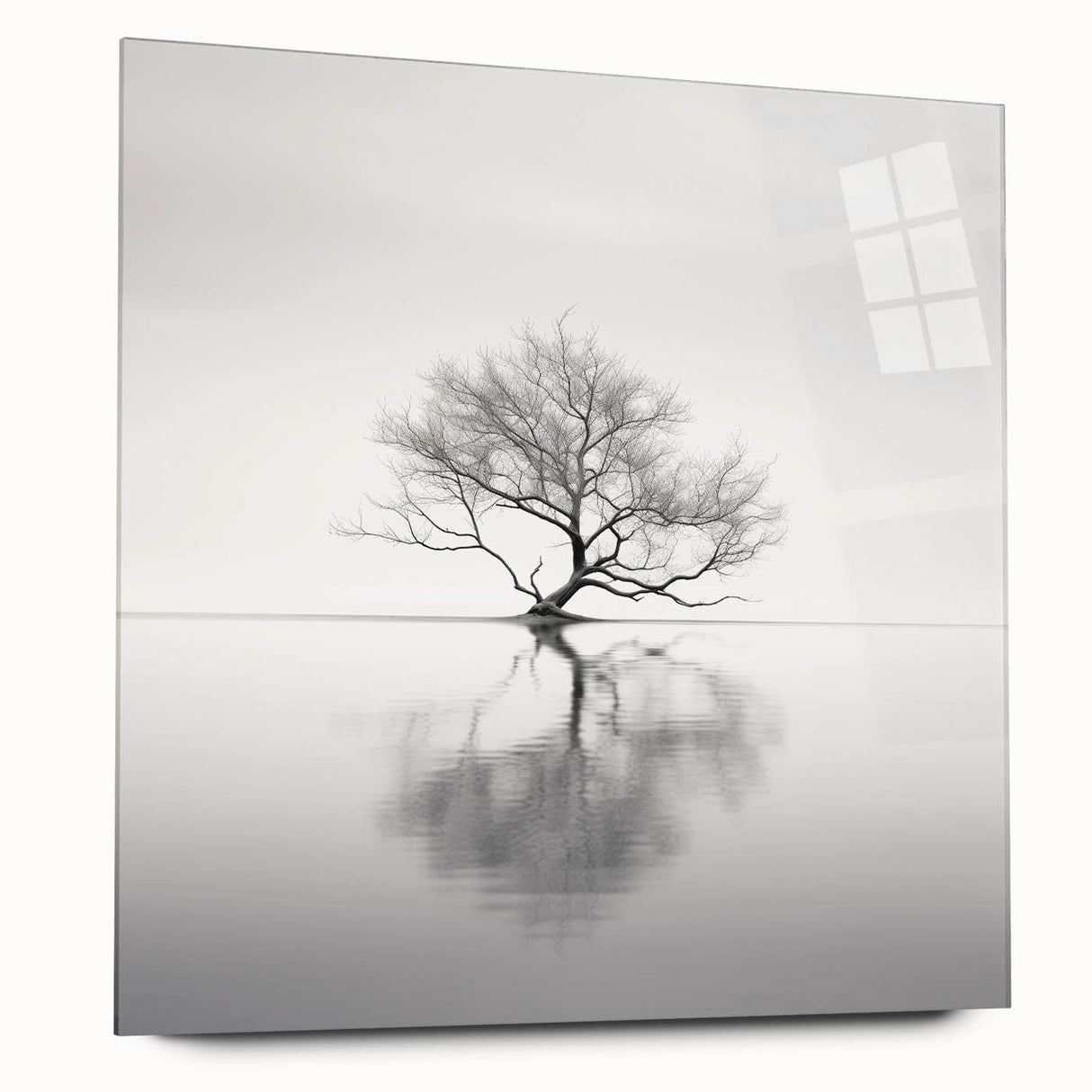 Acrylic Dining Room Artwork - Black and White Nature Reflection