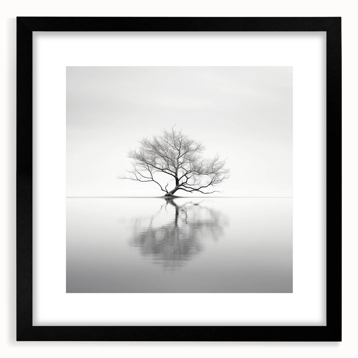 Acrylic Dining Room Artwork - Black and White Nature Reflection