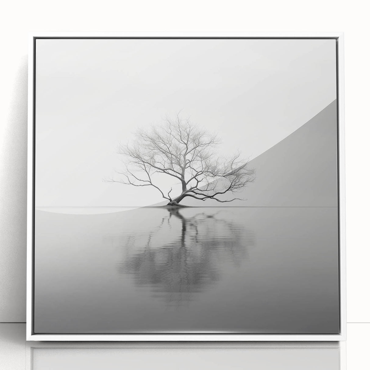 Acrylic Dining Room Artwork - Black and White Nature Reflection