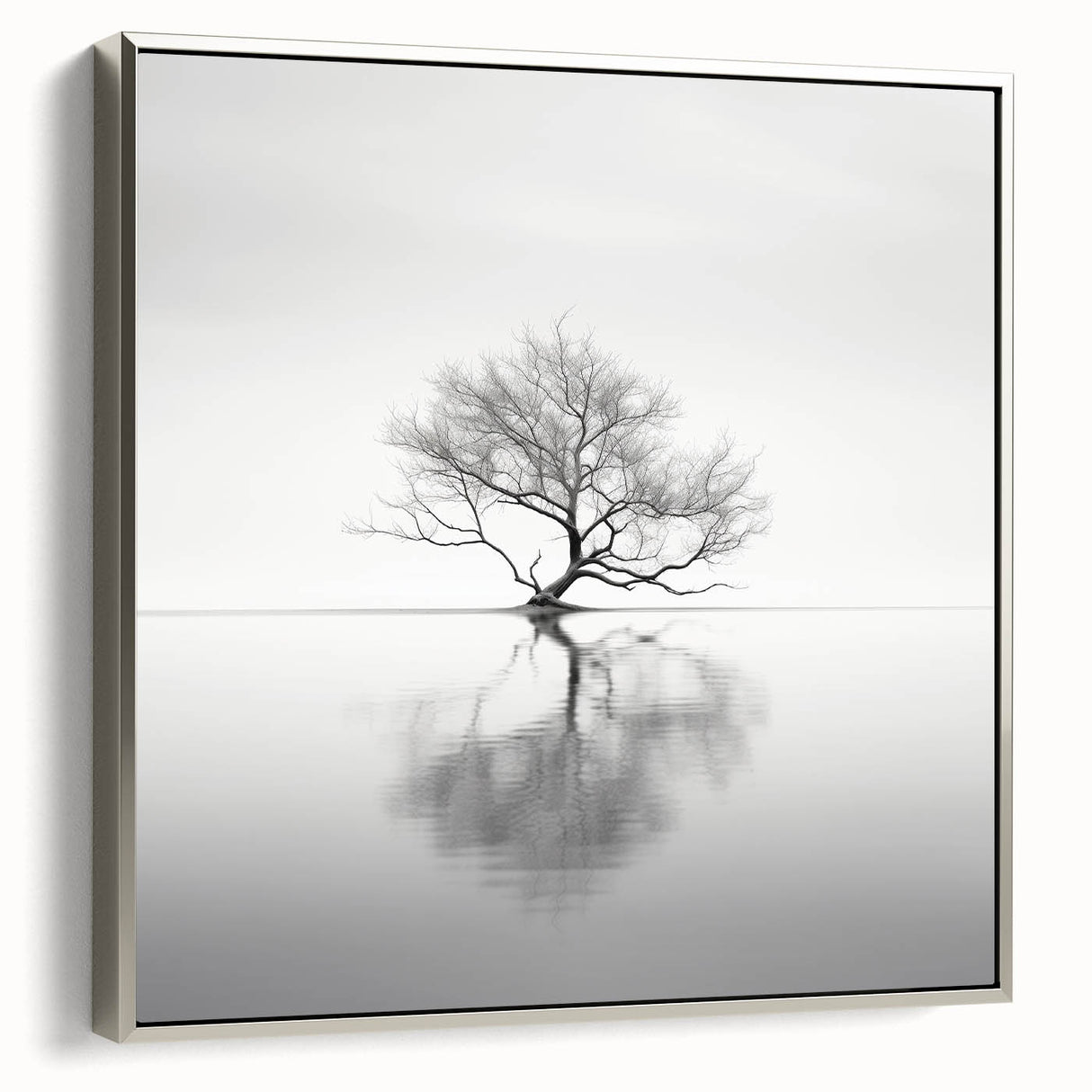 Acrylic Dining Room Artwork - Black and White Nature Reflection