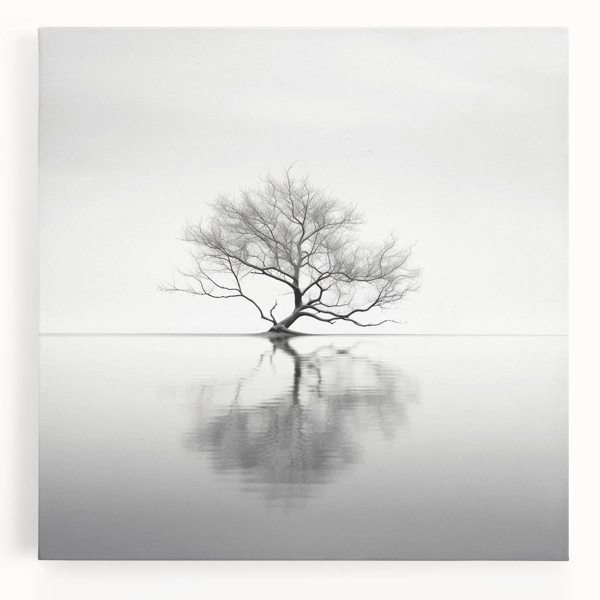 Acrylic Dining Room Artwork - Black and White Nature Reflection