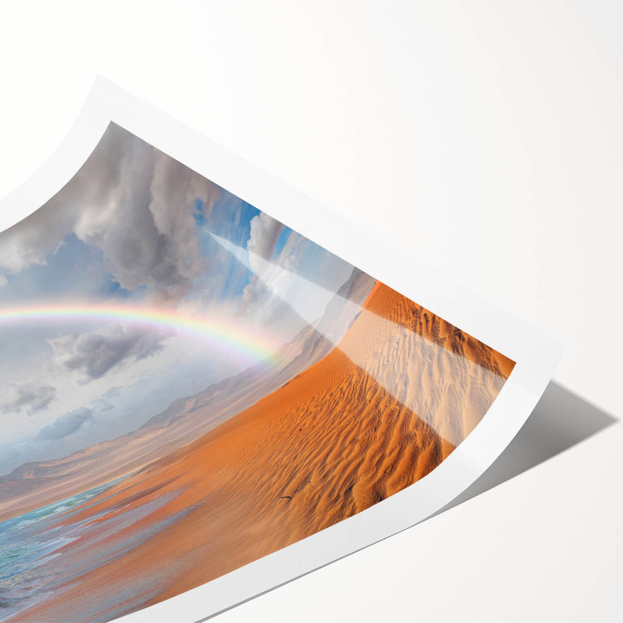 Extra large rolled print of a Namibian landscape, featuring muted earth tones and line art flowers.