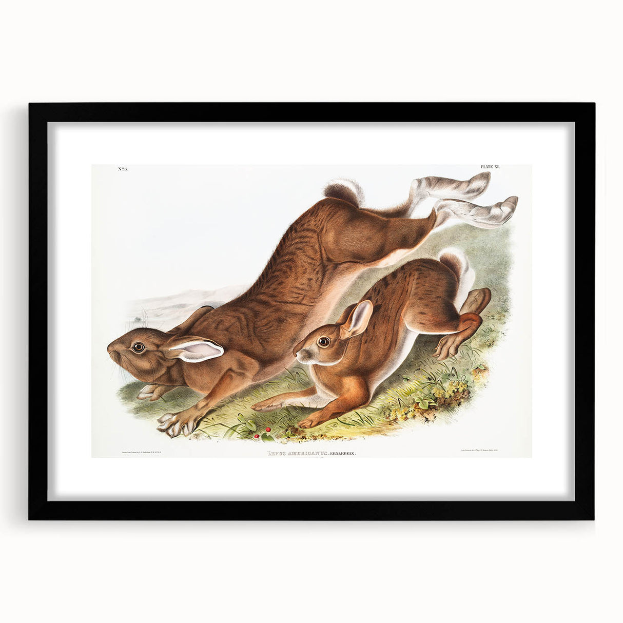 Romanticism Art: Northern Hares - Classic Romantic Wildlife Canvas