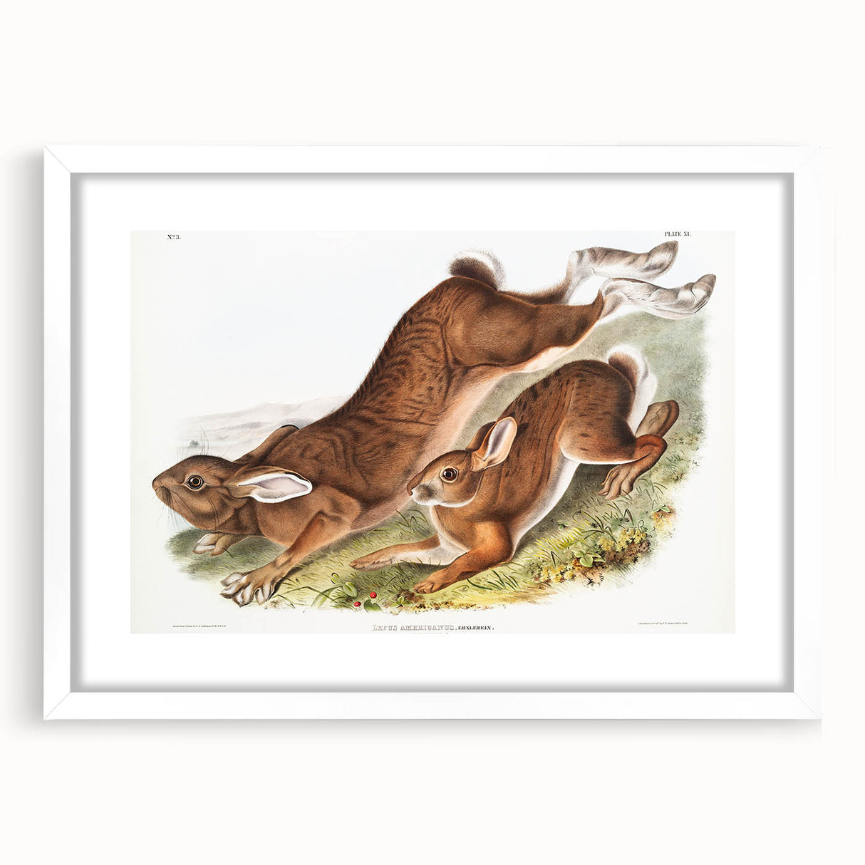 Romanticism Art: Northern Hares - Classic Romantic Wildlife Canvas