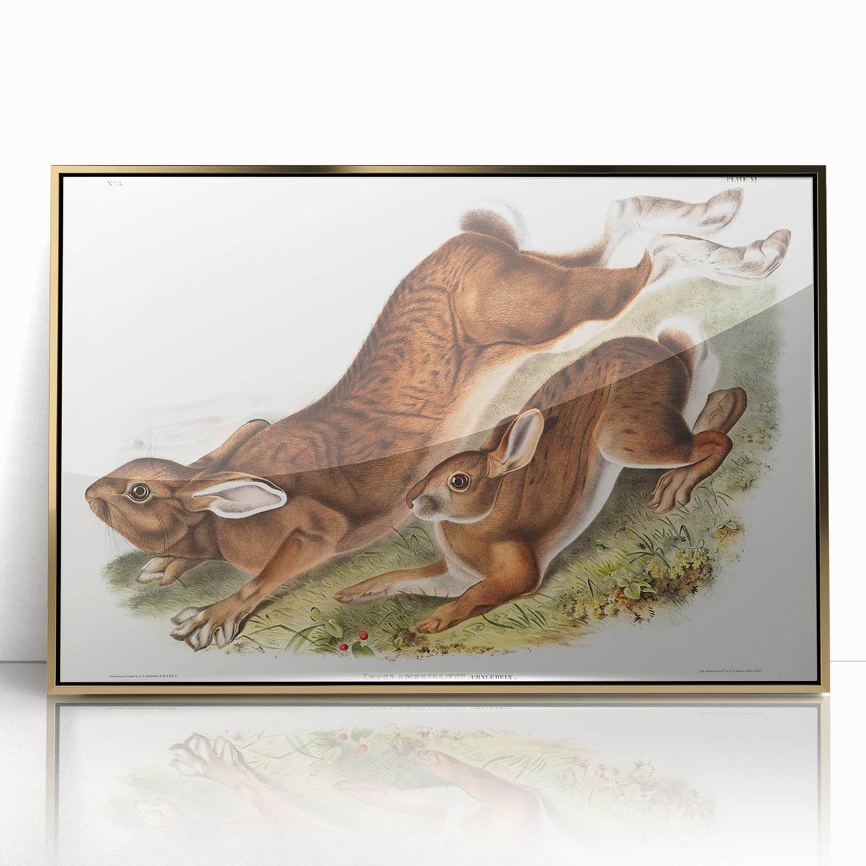 Romanticism Art: Northern Hares - Classic Romantic Wildlife Canvas