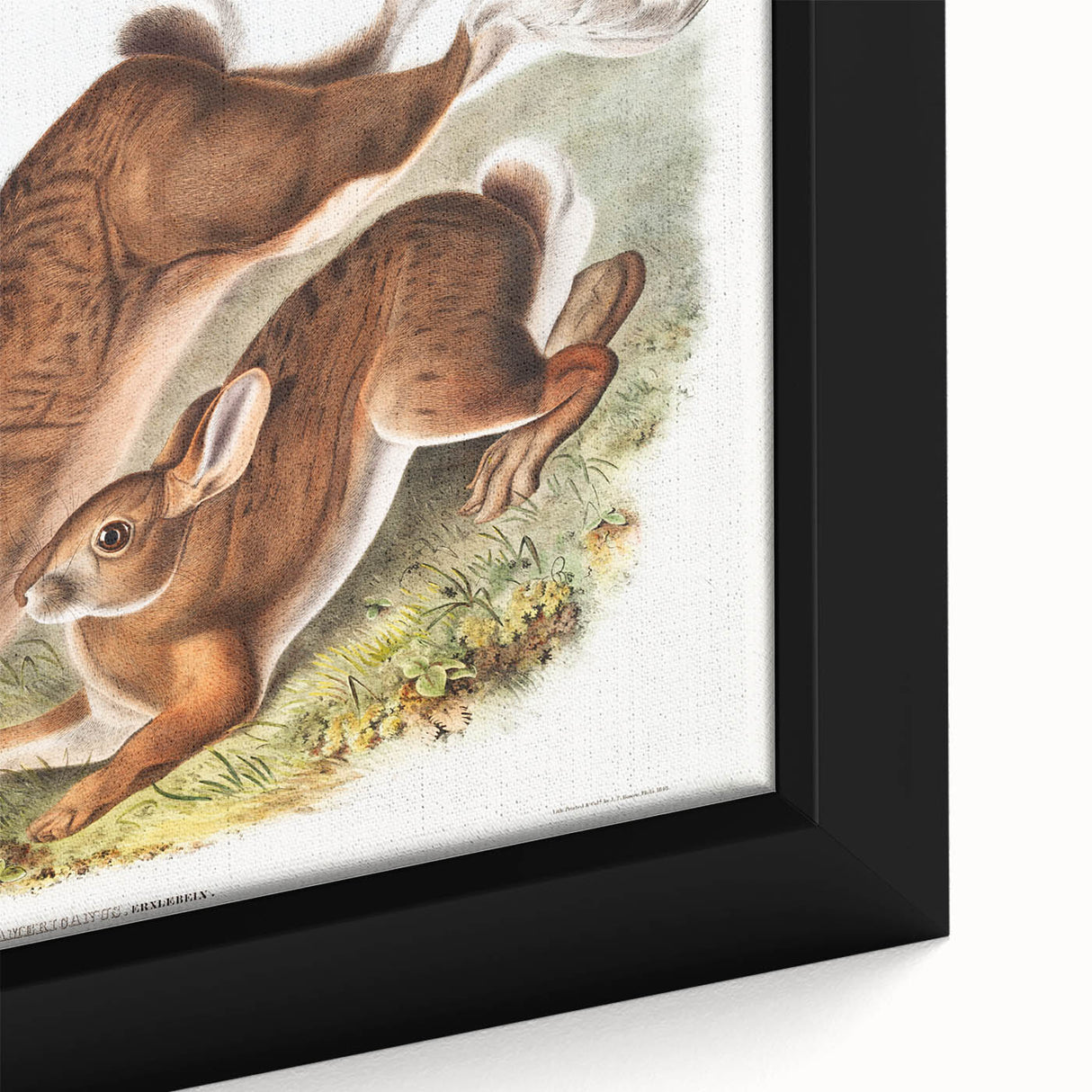 Romanticism Art: Northern Hares - Classic Romantic Wildlife Canvas