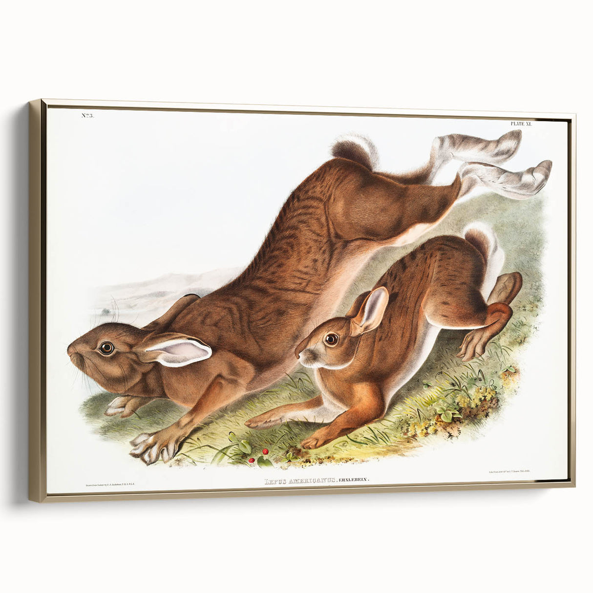 Romanticism Art: Northern Hares - Classic Romantic Wildlife Canvas