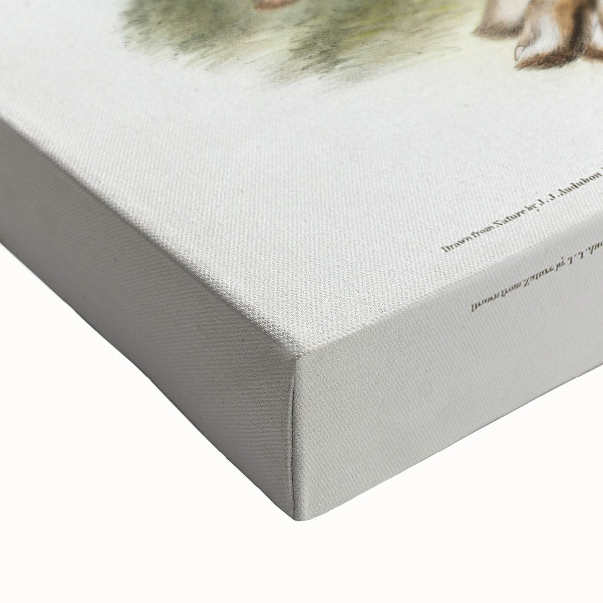 Romanticism Art: Northern Hares - Classic Romantic Wildlife Canvas