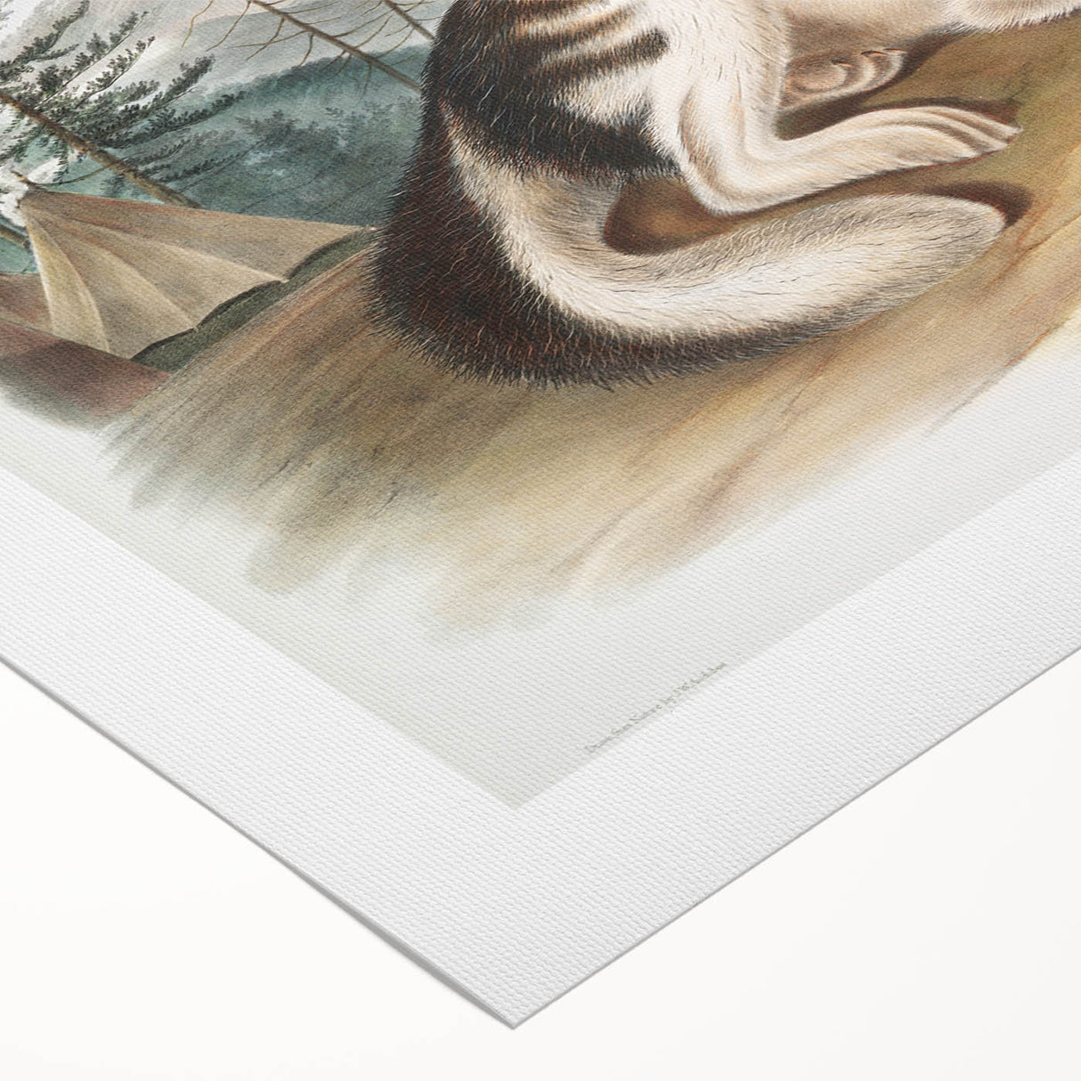 Romanticism Art: Hare Indian Dog by Audubon - Wildlife Canvas Print