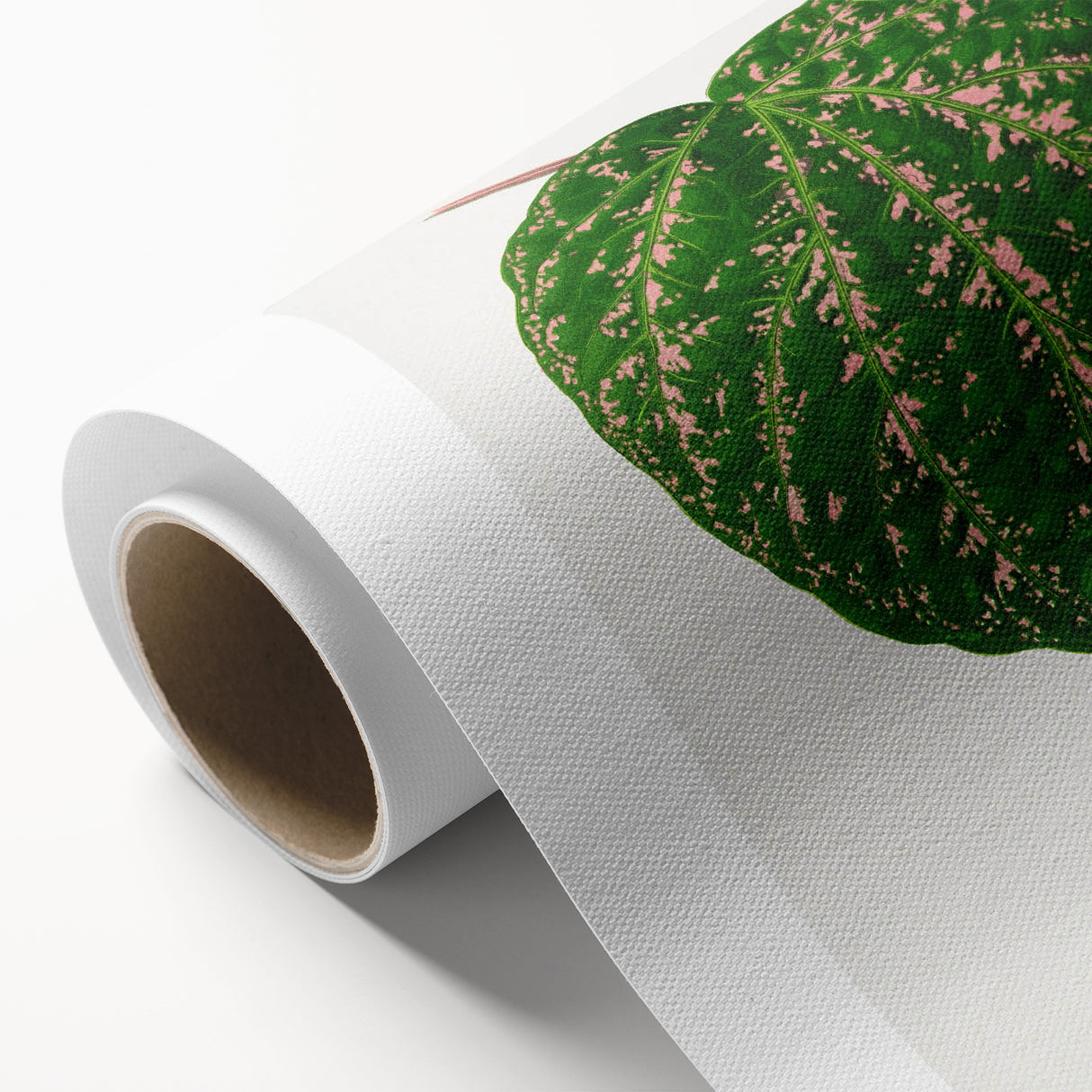 Romanticism Art: Cissus Porphyrophyllus Leaf - Botanical Canvas Print