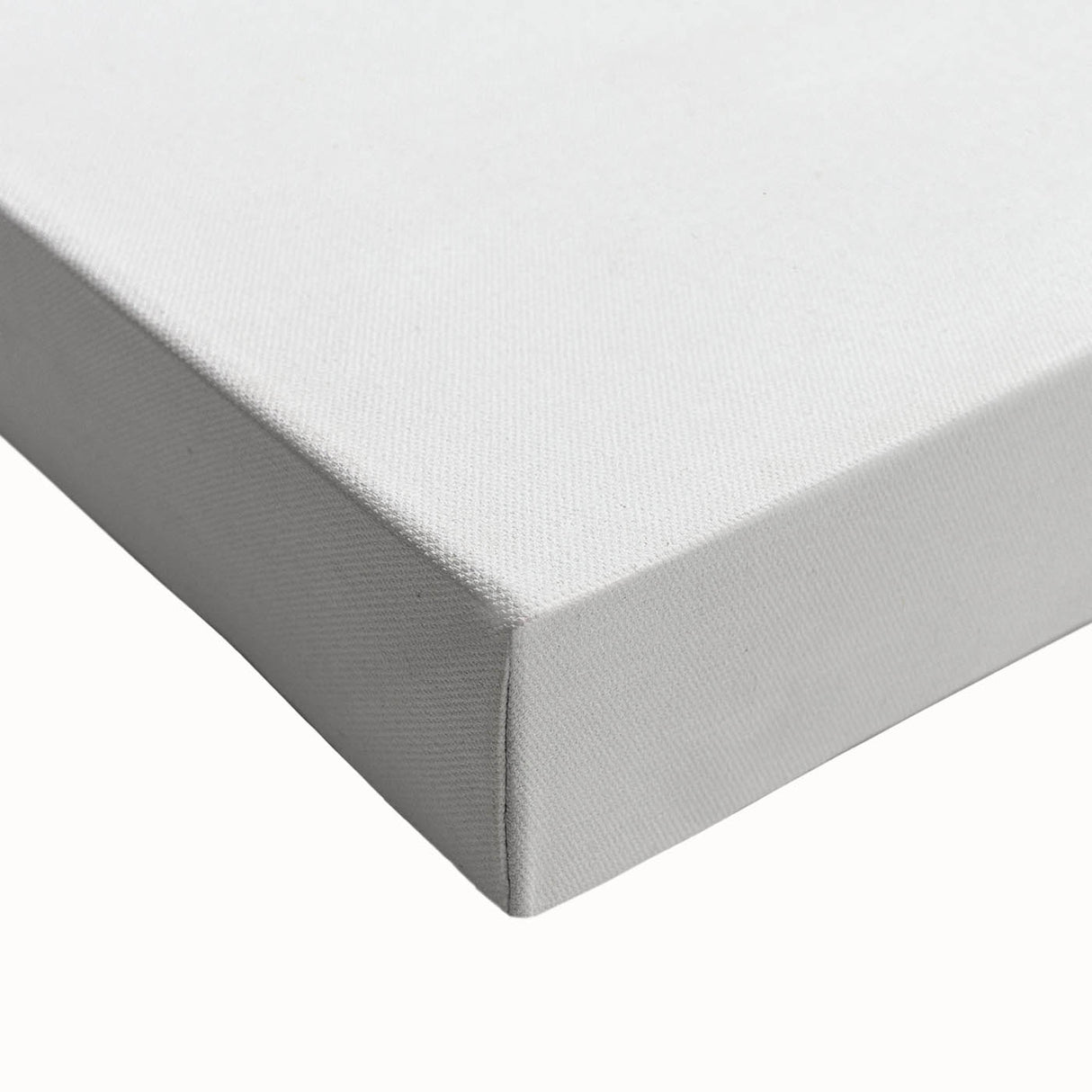 Romanticism Art: Carrot Peach by Gallesio - Botanical Canvas Print