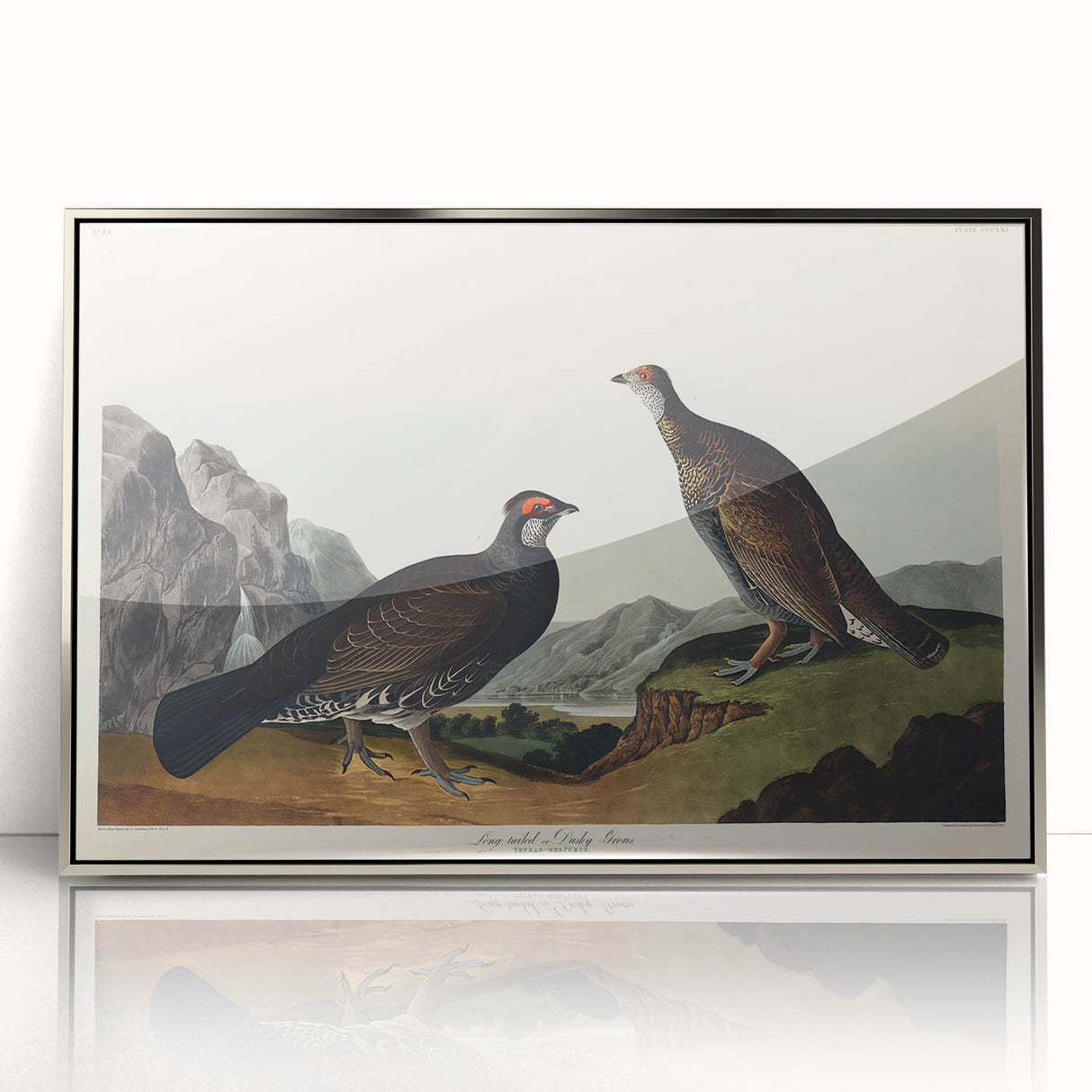 Romanticism Art: Dusky Grouse by John Audubon - Classic Canvas Print