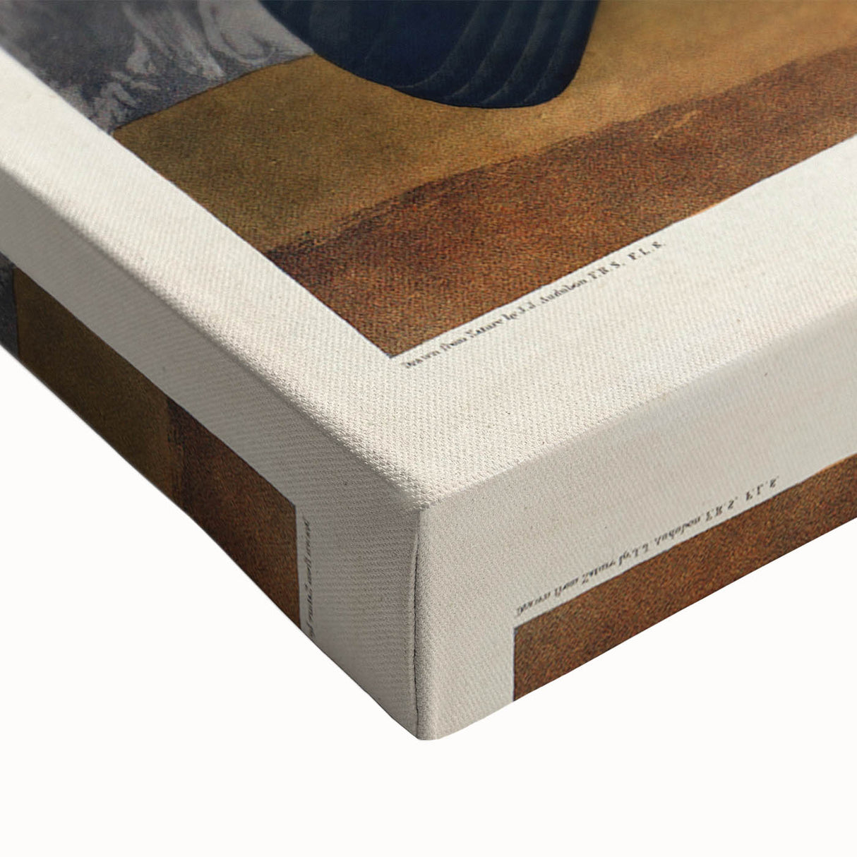 Romanticism Art: Dusky Grouse by John Audubon - Classic Canvas Print