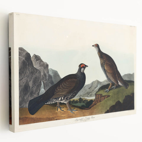 Romanticism Art: Dusky Grouse by John Audubon - Classic Canvas Print