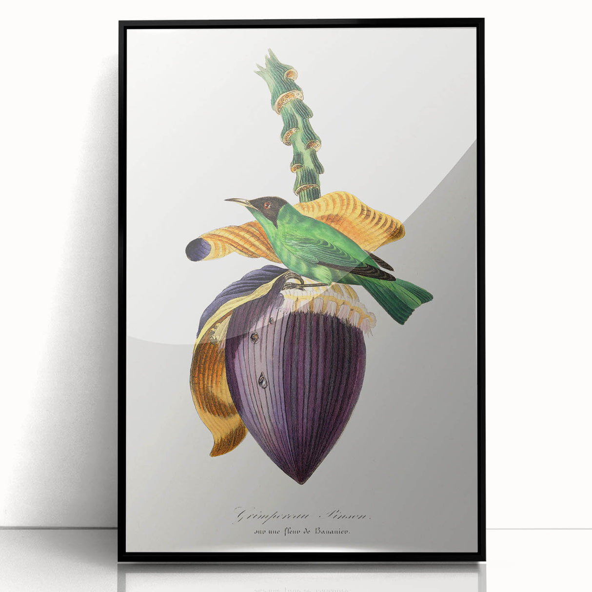 Romanticism Art: Treecreeper Bird by Paul Gervais - Classic Print