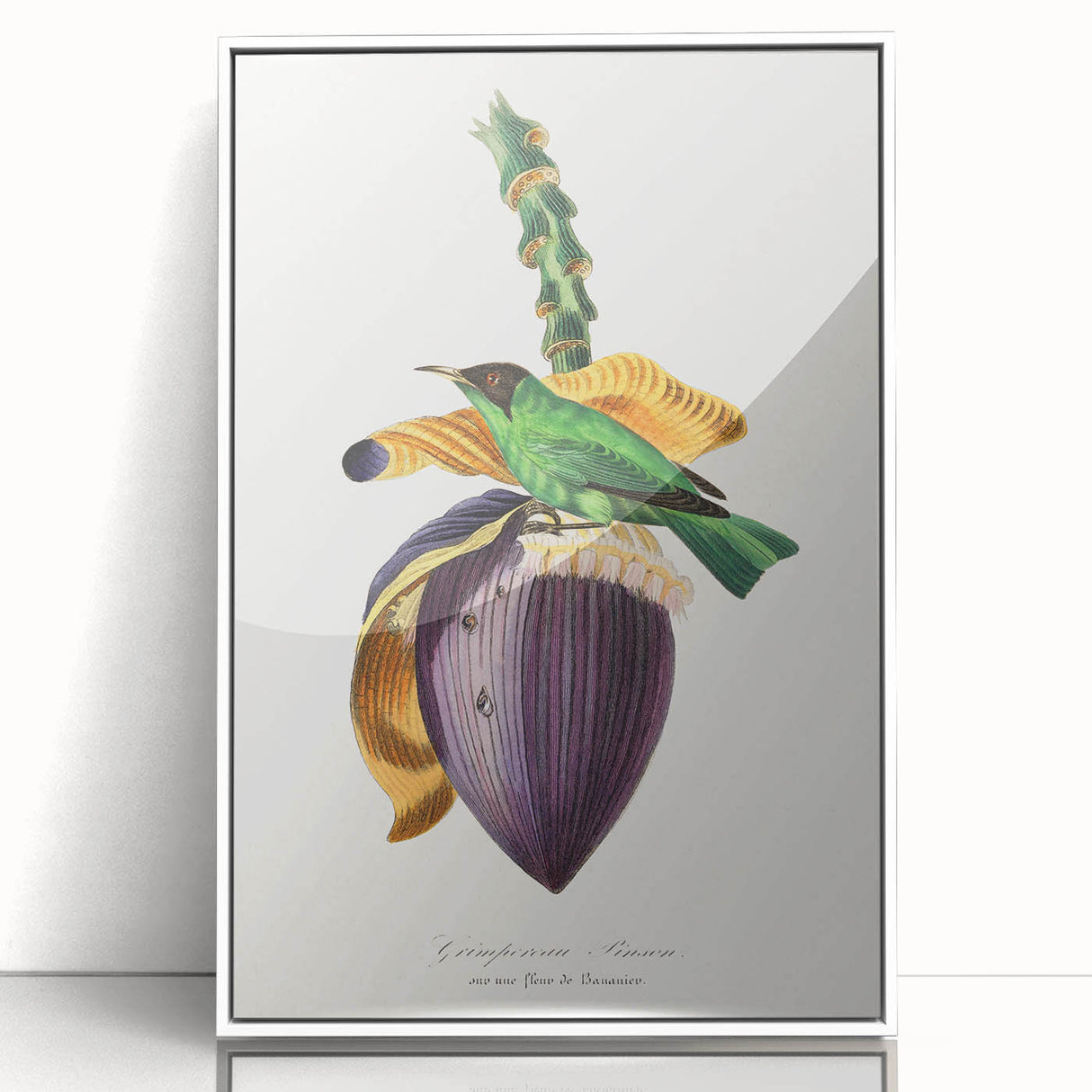 Romanticism Art: Treecreeper Bird by Paul Gervais - Classic Print