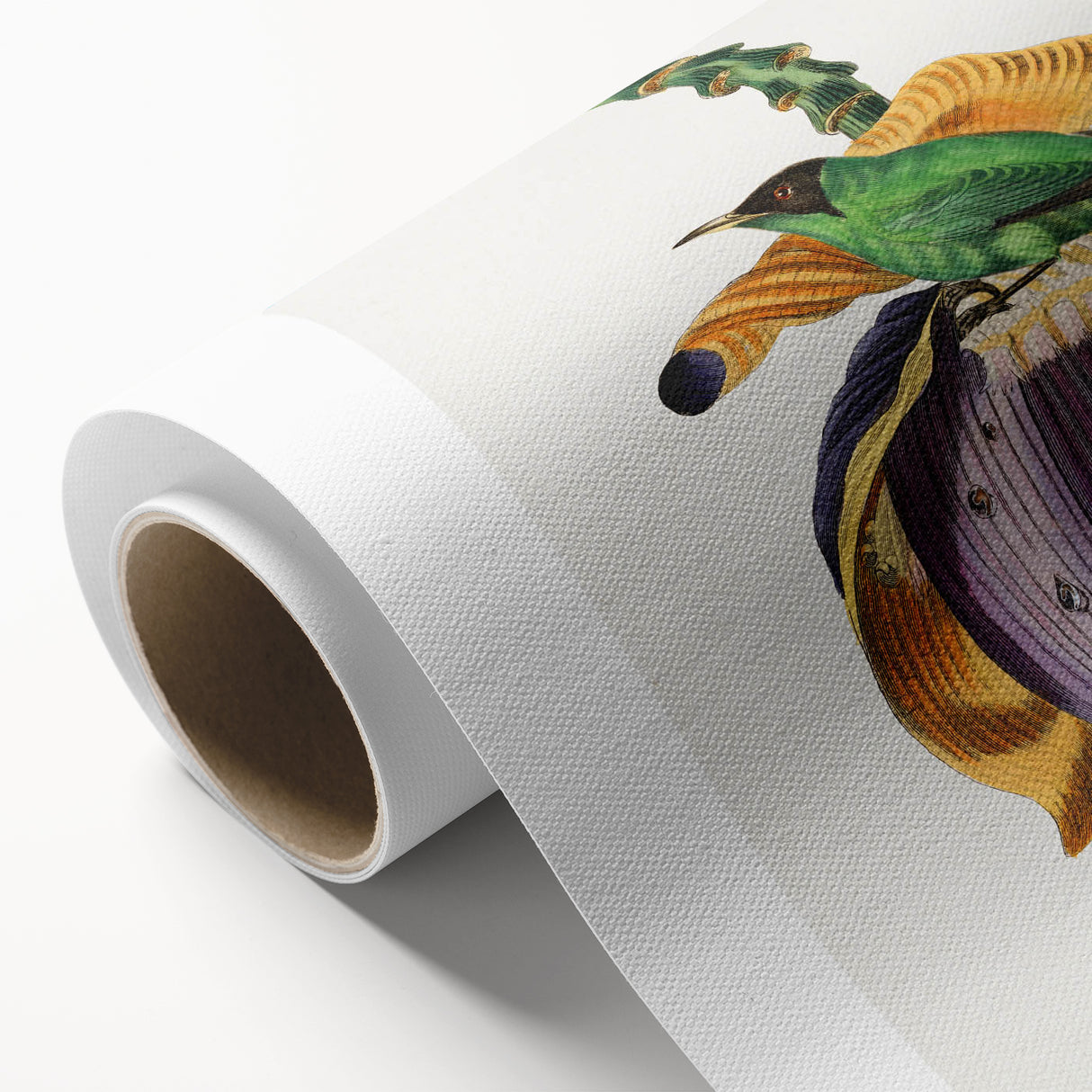 Romanticism Art: Treecreeper Bird by Paul Gervais - Classic Print