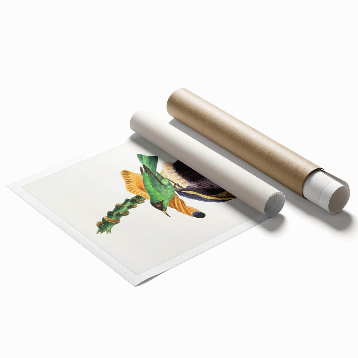 Romanticism Art: Treecreeper Bird by Paul Gervais - Classic Print