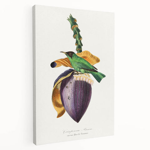 Romanticism Art: Treecreeper Bird by Paul Gervais - Classic Print