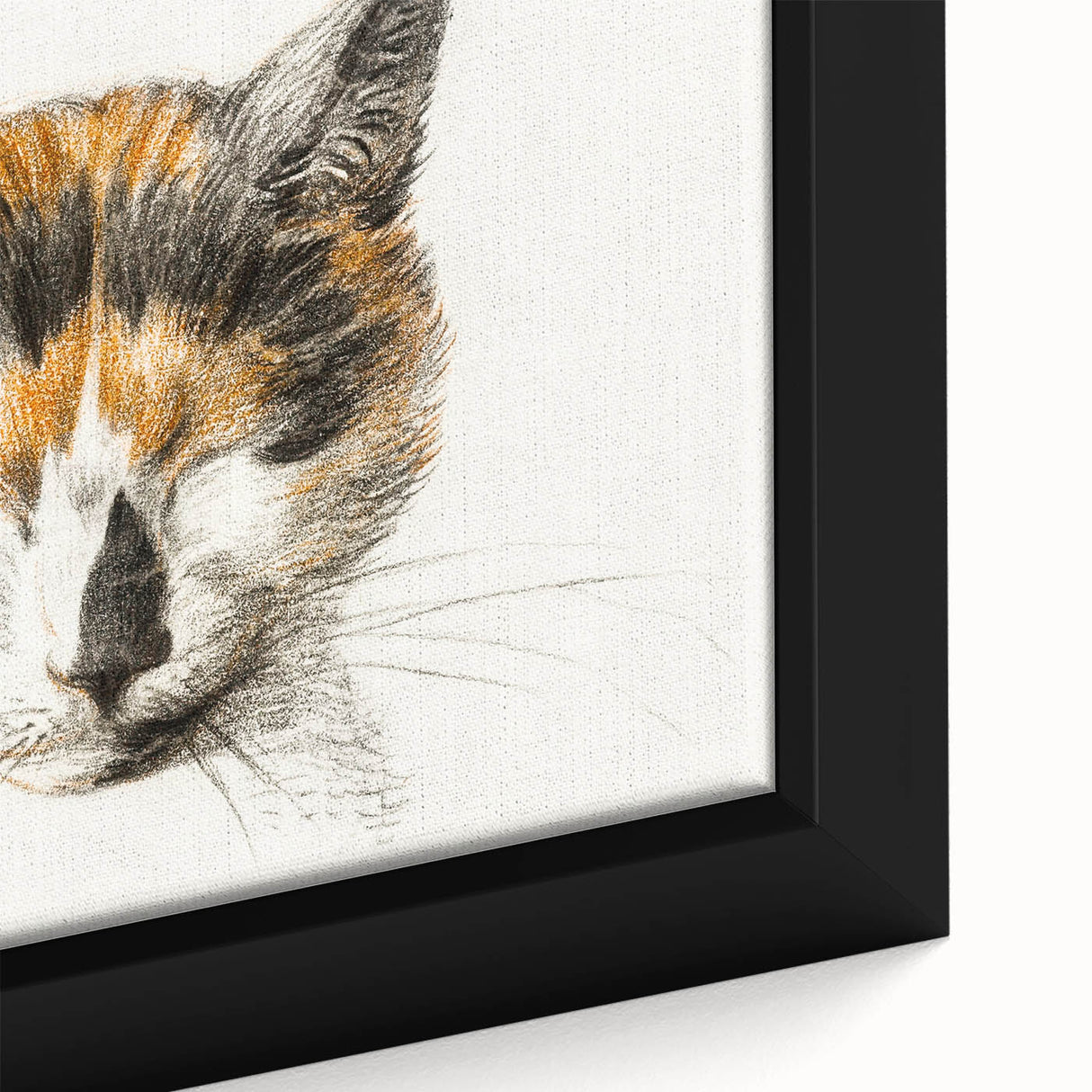 Romanticism Art: Calico Cat by Jean Bernard - Classic Animal Portrait