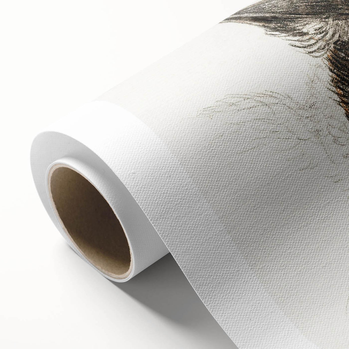 Romanticism Art: Calico Cat by Jean Bernard - Classic Animal Portrait